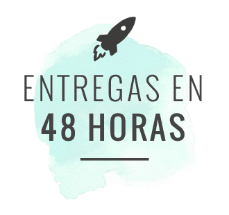banner entregas en 48 horas